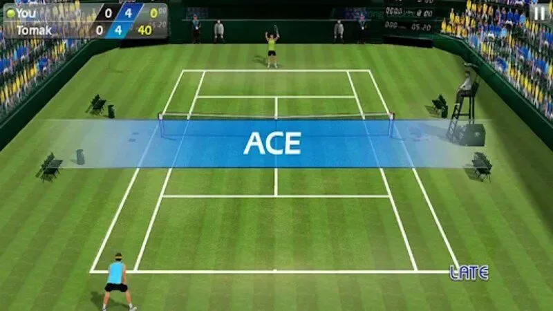 Kèo cược tennis chẵn lẻ